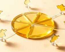 Міжнародні підходи до відповідальної гри: Центр відповідальної гри та Slot City розпочали нове масштабне дослідження