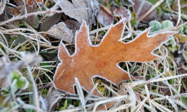 8ZvzWs5YMX-NnzjvNEloNQL3Yb2VWm2Q