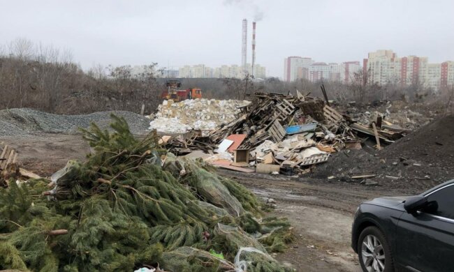 Госэкоинспекция подсчитала миллионный ущерб из-за халатности руководителя "Киевавтодора": сделали свалку посреди Киева