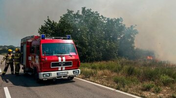 Огненная стихия уничтожила около 10 гектаров: одесситам напомнили о наказании за безответственность