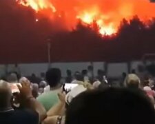 Люди наблюдают, как сгорают их дома: видео с места масштабных пожаров в Греции