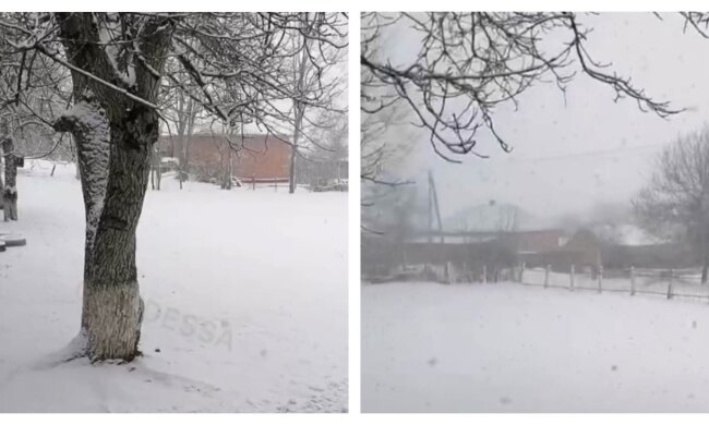 "Можна діставати санки": снігова стихія накрила Одещину, кадри природної аномалії