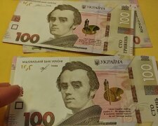 Денежная помощь для ВПЛ в Николаевской области