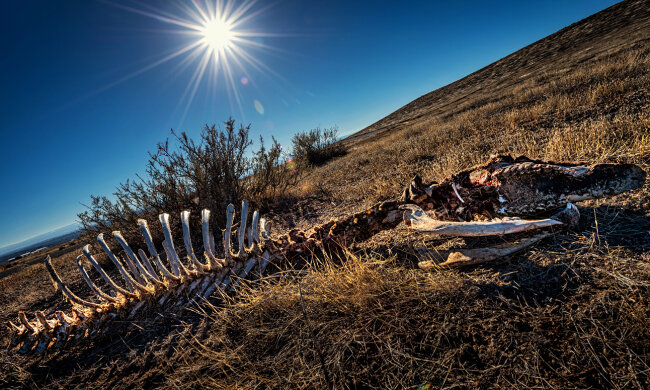 катастрофа, конец света