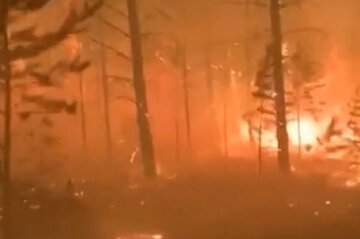 лісова пожежа в Якутії