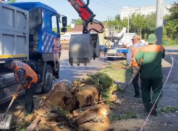 Негода обрушилася на Дніпро: масово кинуто сили на ліквідацію наслідків стихії, кадри