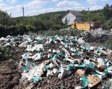 Житель Дніпра загадил вулицю тоннами сміття, фото: "Страшенний сморід"