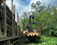 Держекоінспекція спіймала «чорних лісорубів»