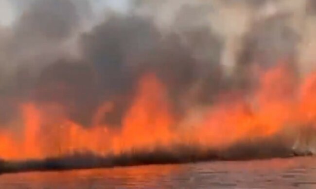 Масштабна пожежа розгорілася під Києвом, небо застелив чорний дим: кадри вогняної НП