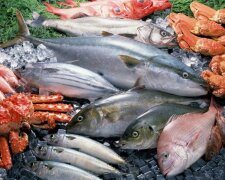Викликає рак: вчені приголомшили новим відкриттям про страви з риби