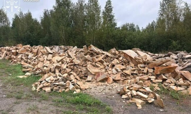 на Житомирщині судитимуть групу осіб за незаконний видобуток піщанику