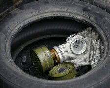 Экологическая катастрофа в Украине: берега усыпаны разлагающимися трупами