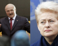 "Ти вирішив свою долю": Грибаускайте закликала "кривавого диктатора" Лукашенка піти