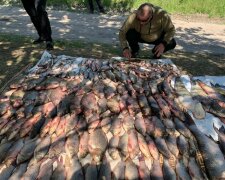 Браконьєр спіймав риби на понад півмільйона гривень на Кіровоградщині: подробиці масштабної операції