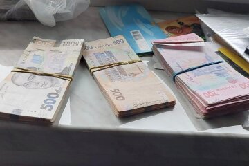 гроші, гривня, пачки грошей