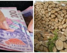Українці можуть отримати гроші на купівлю дров і вугілля: кому нададуть грошову допомогу