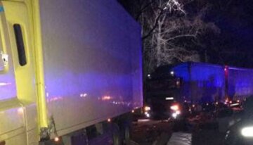 Нетрезвый водитель грузовика сбил защитника из теробороны: суд вынес приговор, фото