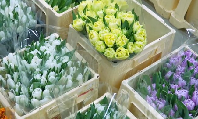 Подорожание цветов в Днепре, 8 марта