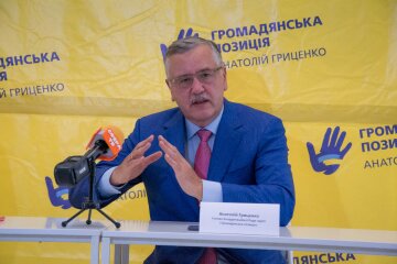 »Будут отстреливаться»: Гриценко рассказал, почему Порошенко вцепился за «шоколадное кресло»