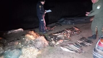 Нанес государству ущерб более чем на 4 миллиона гривен: в Одесской области задержали браконьера