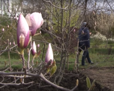 Прогноз погоды в Запорожье на 14 марта.