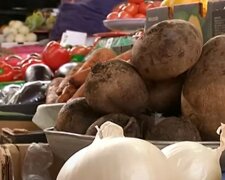 Цены на "борщевые" продукты взлетели от 35% до 62%: во сколько обойдется украинцам национальное блюдо