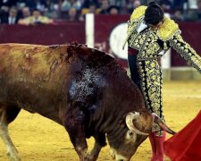 Испанский суд отменил запрет на корриду
