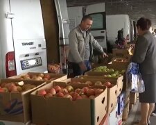 600-700 грн / кг: на українських ринках людям продають "золоті" ягоди, і це не межа