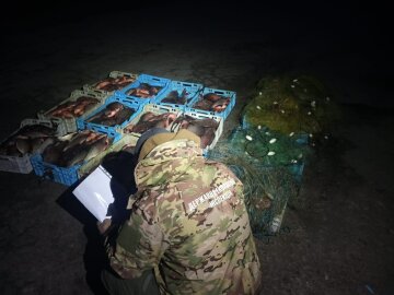 Госэкоинспекция выявила масштабные нарушения в заповеднике Одесской области