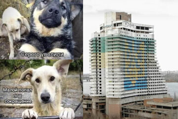 В Днепре ищут дом бывшим "охранникам" Паруса: нужны добрые руки