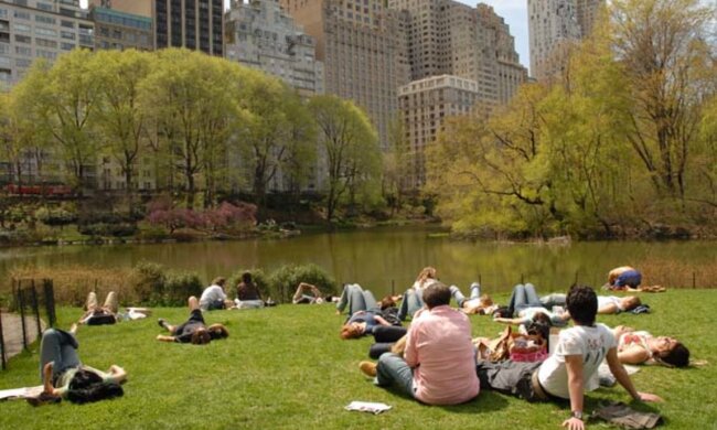 Август позволит избранным знакам Зодиака начать жизнь с чистого листа: кого ждет успешный месяц