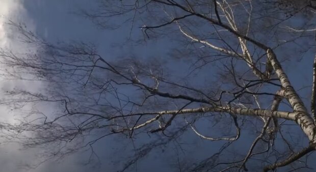  �������� ������� ��������� ������ 