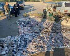 Сітки довжиною понад кілометр: на Кременчуцькому водосховищі затримали браконьєра з уловом на 1,3 млн гривень