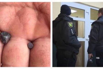 "Не причинил никому вреда": в харьковском дворе жестко расправились с собакой