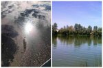 Техногенная катастрофа в Киеве, к берегу прибило мертвую рыбу: кадры ЧП