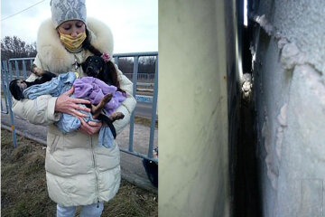 У Кривому Розі кинулися на порятунок цуценят: застрягли між гаражами