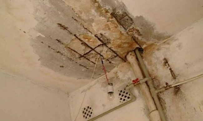 У Дніпрі гуртожиток "Укрзалізниці" заполонили таргани, цвіль і зловонні запахи, кадри