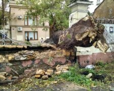 Разрушенная Одесса: дождь размыл Потемкинскую лестницу (фото)