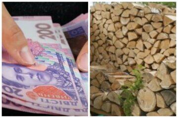 Українці можуть отримати гроші на купівлю дров і вугілля: кому нададуть грошову допомогу