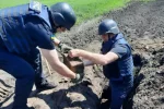 Харків'янин на власному городі знайшов 163 снаряди, кадри: злетілися рятувальники