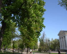 Прогноз погоды на неделю с 15 по 21 апреля в Полтавской области.