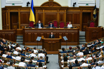 драка рада нардепы