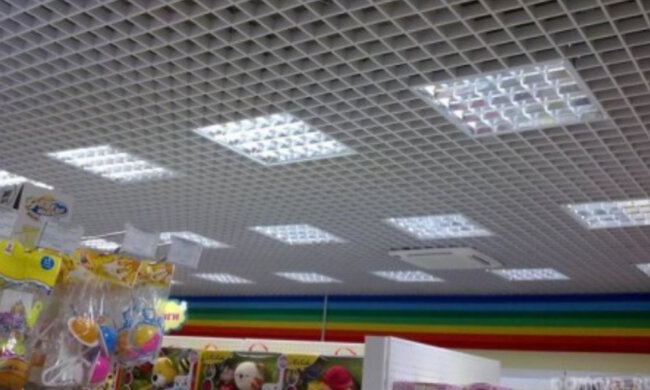 "Падають прямо на голову": дніпровський супермаркет окупували "заморські гості", лякаючі фото