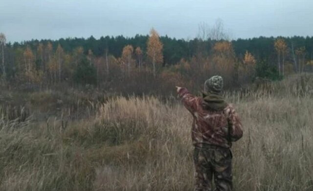 На Одещині мисливець розстріляв напарника замість дичини: "ховався в очеретах"