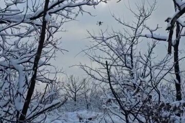фронт