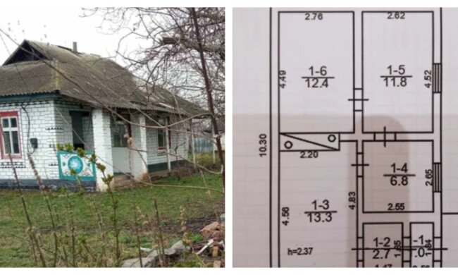 Ціна будинку з величезною ділянкою – всього 1 тисяча доларів: що знаходиться всередині, кадри