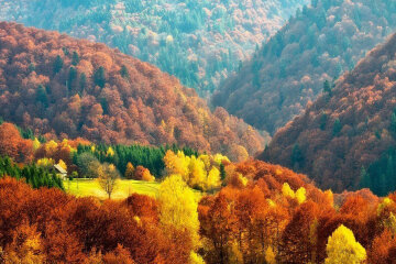 Карпаты