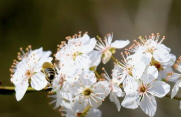 Дефіцит продуктів у Запоріжжі