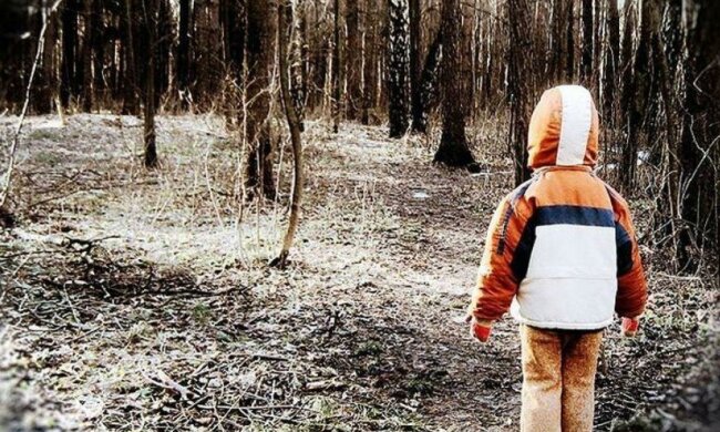 мальчик лес ребенок