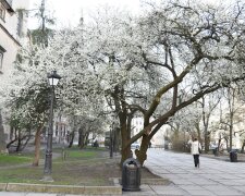 Весна щедро одарит избранных знаков Зодиака: кто начнет новую жизнь уже в марте